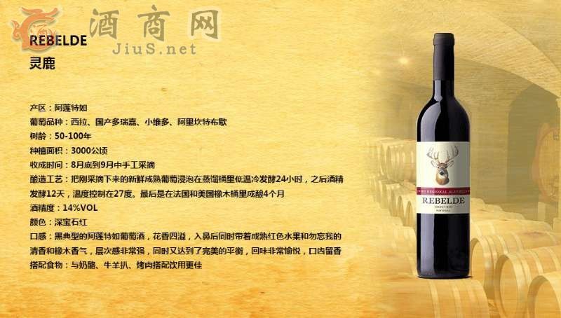 �`¹�t���Ѿ�