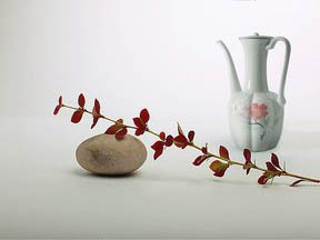 һЩ�׾���I�����M��˥���ڣ�ԭ�������.jpg