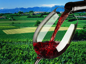 �_�t�Ƽ��˵���ٍ�X�᣿ (1).jpg