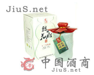 ����ʮ���껨���