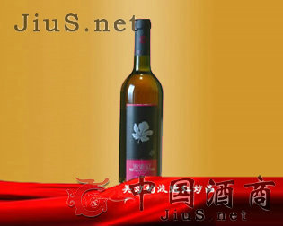 �Ĵ������t�ƘI���޹�˾