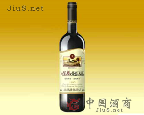 ��������1995���2