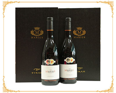 ����-�pֻ�b�����F�ڣ�