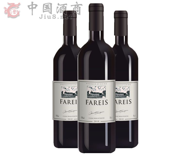 ����˹�ɼt���Ѿ�2010