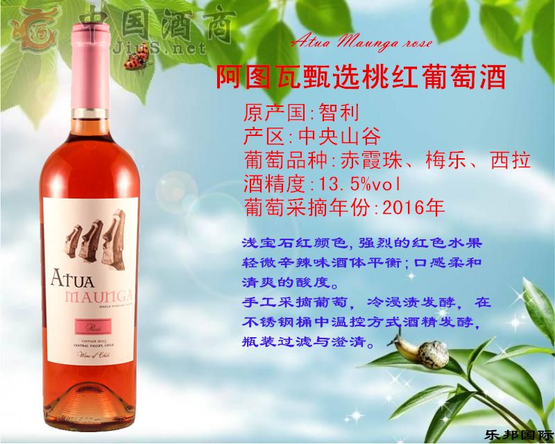 ���D�����x�Ҽt���Ѿ�