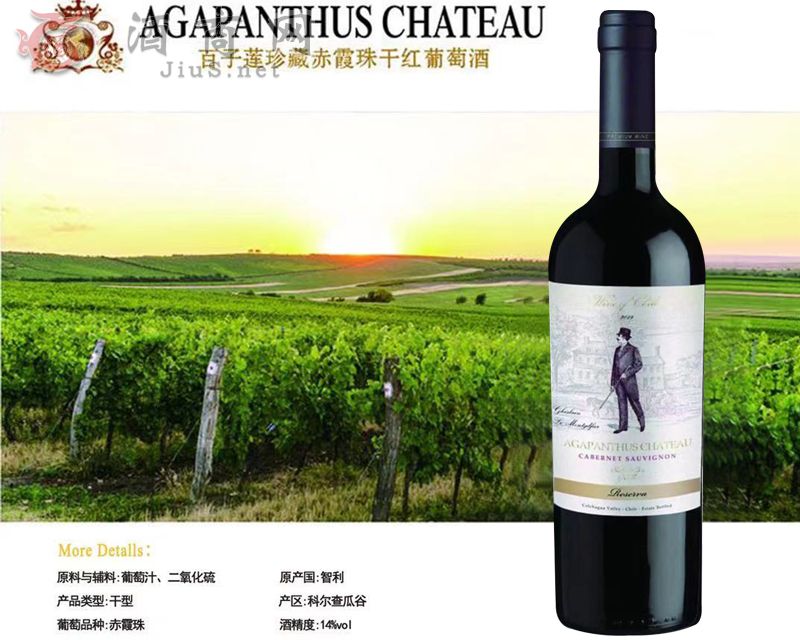 ����ɏ��س�ϼ��ɼt���Ѿ�